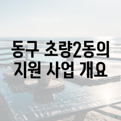 동구 초량2동의 지원 사업 개요