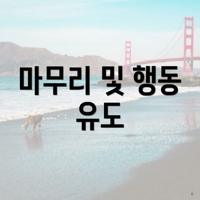 마무리 및 행동 유도