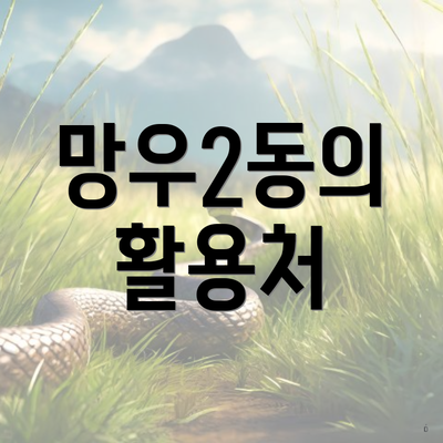 망우2동의 활용처