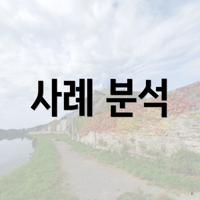 사례 분석