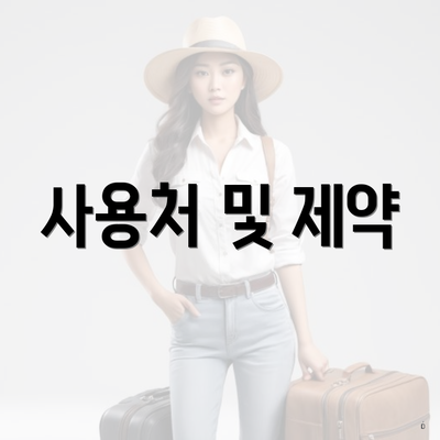 사용처 및 제약