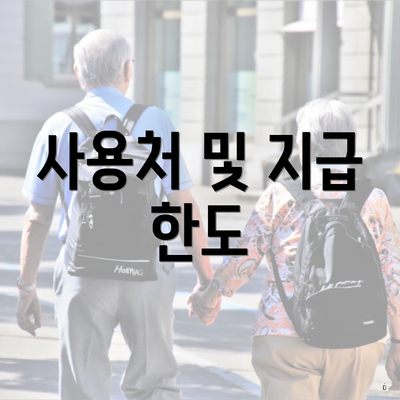 사용처 및 지급 한도
