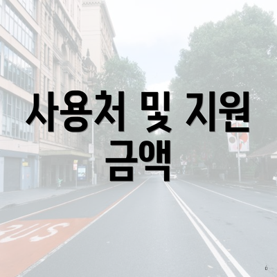 사용처 및 지원 금액