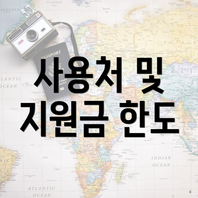 사용처 및 지원금 한도