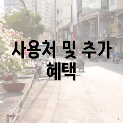 사용처 및 추가 혜택