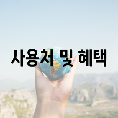 사용처 및 혜택