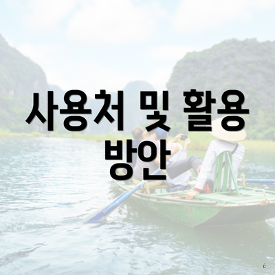 사용처 및 활용 방안