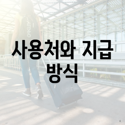 사용처와 지급 방식