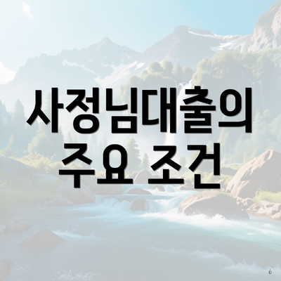 사정님대출의 주요 조건