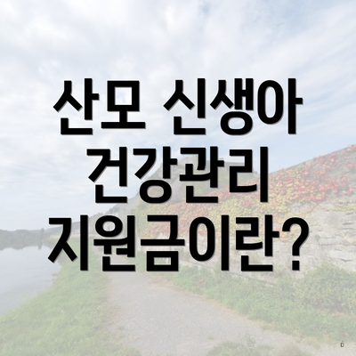 산모 신생아 건강관리 지원금이란?