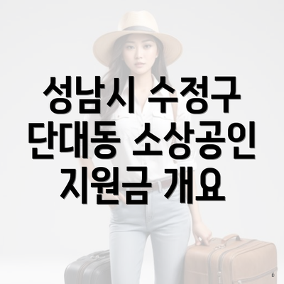 성남시 수정구 단대동 소상공인 지원금 개요