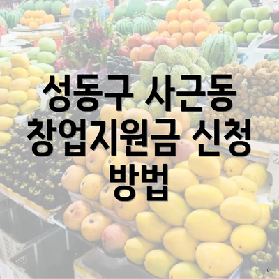 성동구 사근동 창업지원금 신청 방법