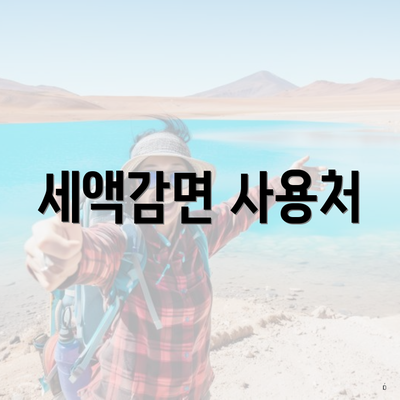 세액감면 사용처
