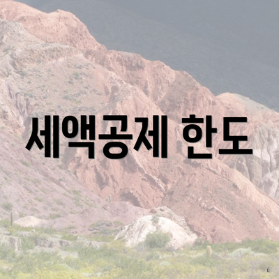 세액공제 한도