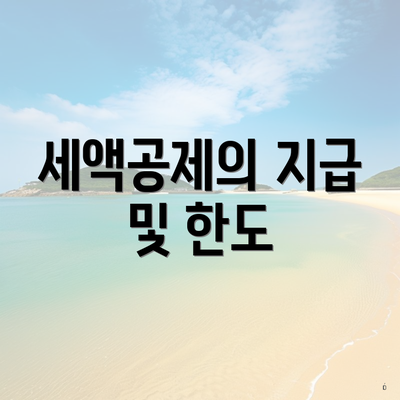 세액공제의 지급 및 한도