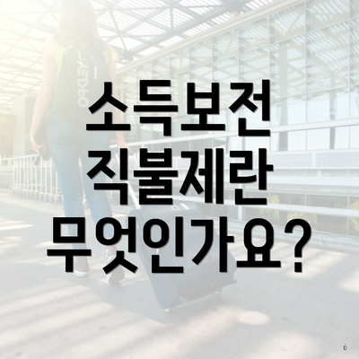 소득보전 직불제란 무엇인가요?