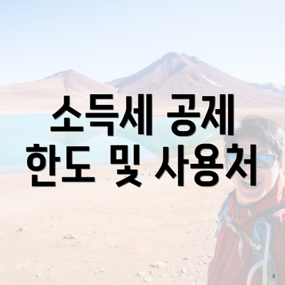 소득세 공제 한도 및 사용처
