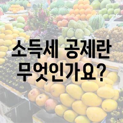 소득세 공제란 무엇인가요?