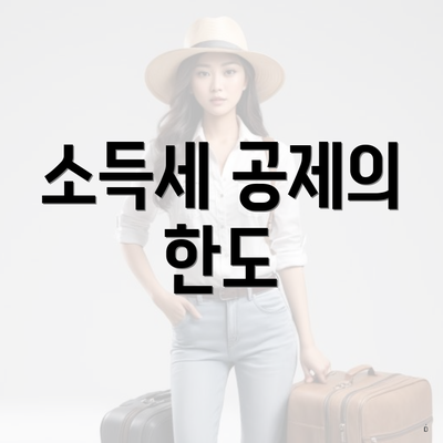 소득세 공제의 한도