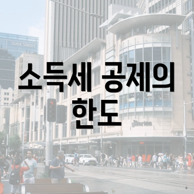 소득세 공제의 한도