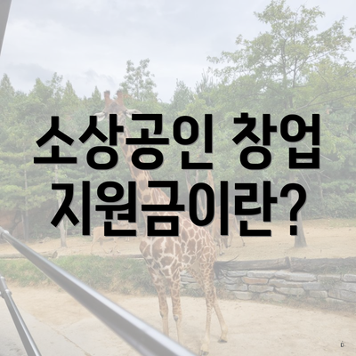 소상공인 창업 지원금이란?