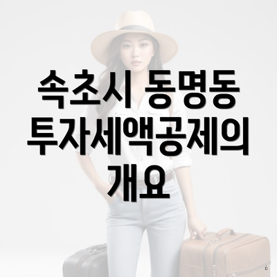 속초시 동명동 투자세액공제의 개요
