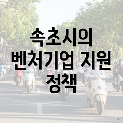 속초시의 벤처기업 지원 정책