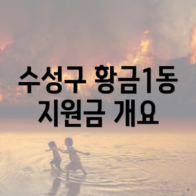 수성구 황금1동 지원금 개요
