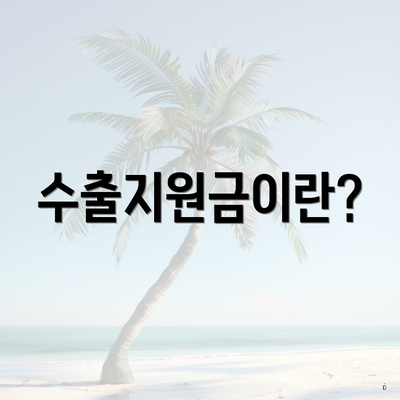 수출지원금이란?