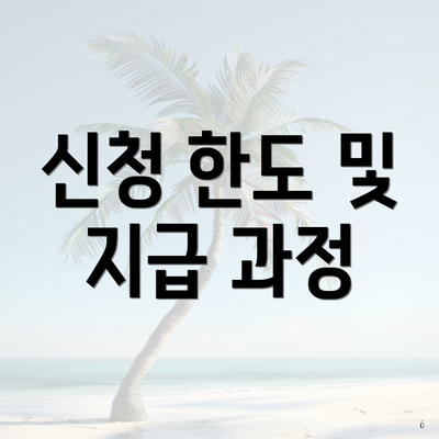 신청 한도 및 지급 과정