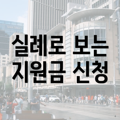 실례로 보는 지원금 신청