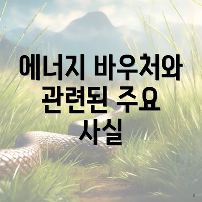 에너지 바우처와 관련된 주요 사실