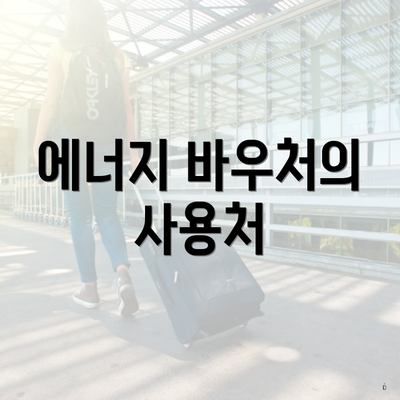 에너지 바우처의 사용처