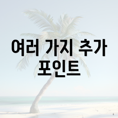 여러 가지 추가 포인트