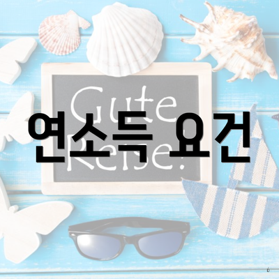 연소득 요건