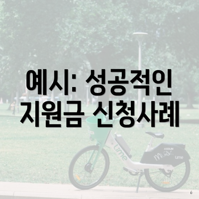 예시: 성공적인 지원금 신청사례