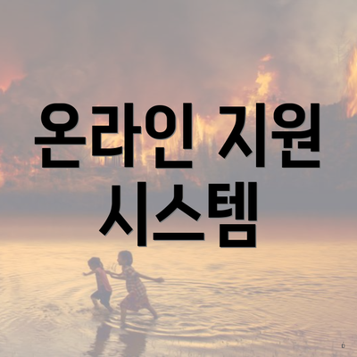 온라인 지원 시스템