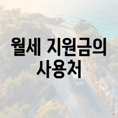 월세 지원금의 사용처
