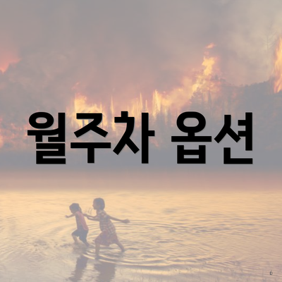월주차 옵션