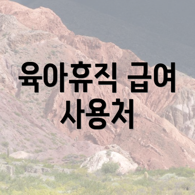 육아휴직 급여 사용처
