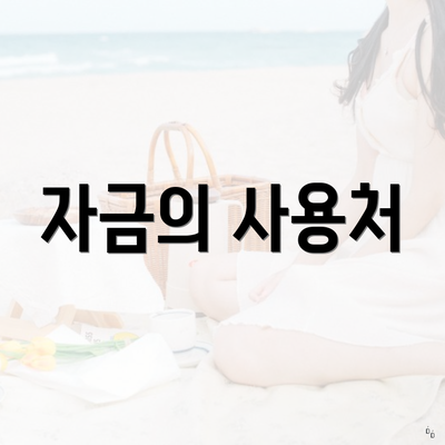 자금의 사용처