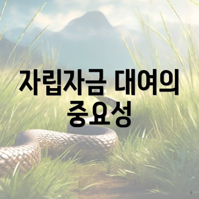 자립자금 대여의 중요성