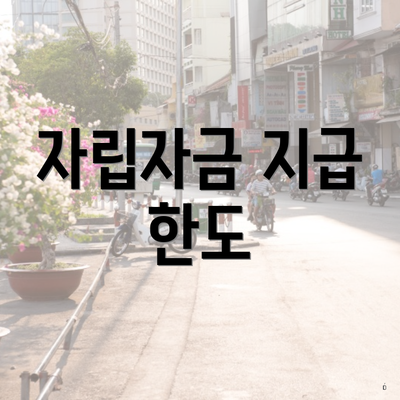 자립자금 지급 한도