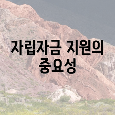 자립자금 지원의 중요성
