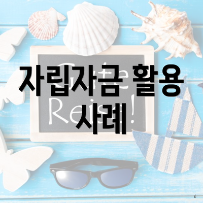 자립자금 활용 사례