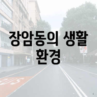 장암동의 생활 환경