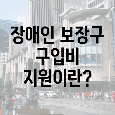 장애인 보장구 구입비 지원이란?