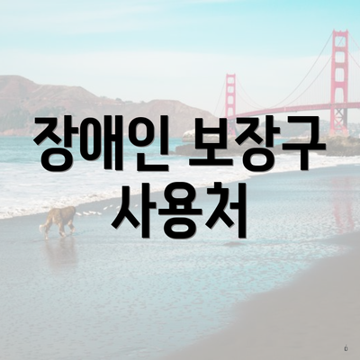 장애인 보장구 사용처