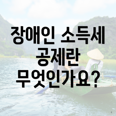 장애인 소득세 공제란 무엇인가요?