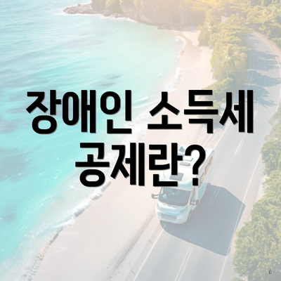 장애인 소득세 공제란?